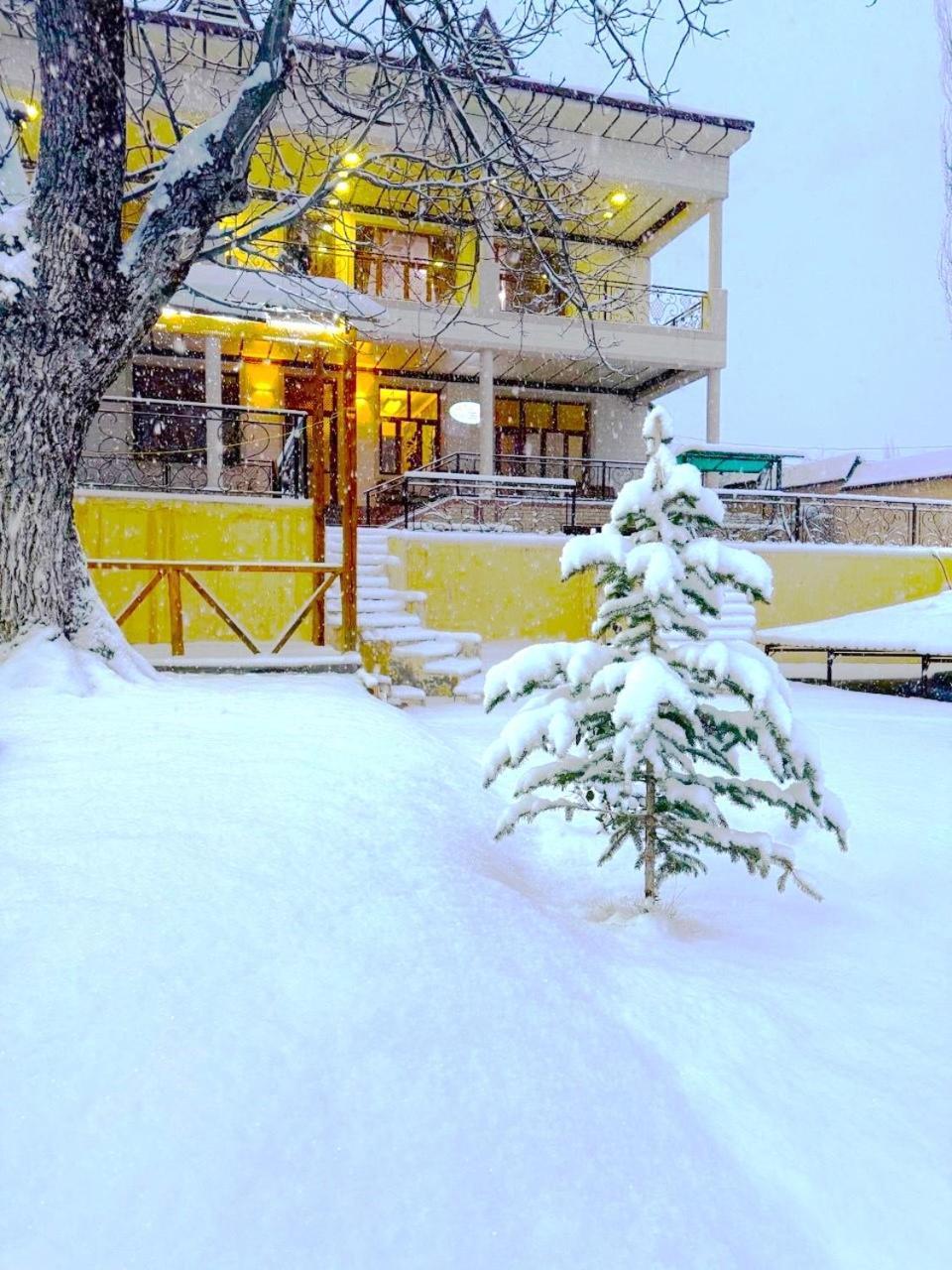 Зона Отдых Apachi В Горах Чимган Hotel Luaran gambar